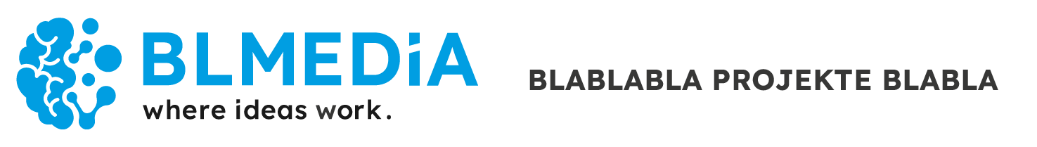 BLmedia Projektmanagement